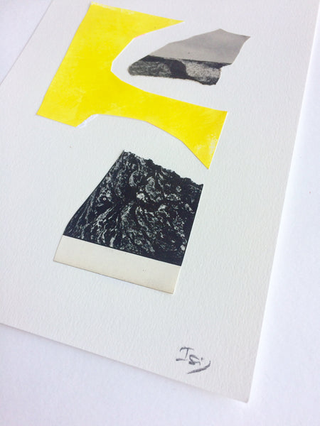 Amarillo Cadmio #4